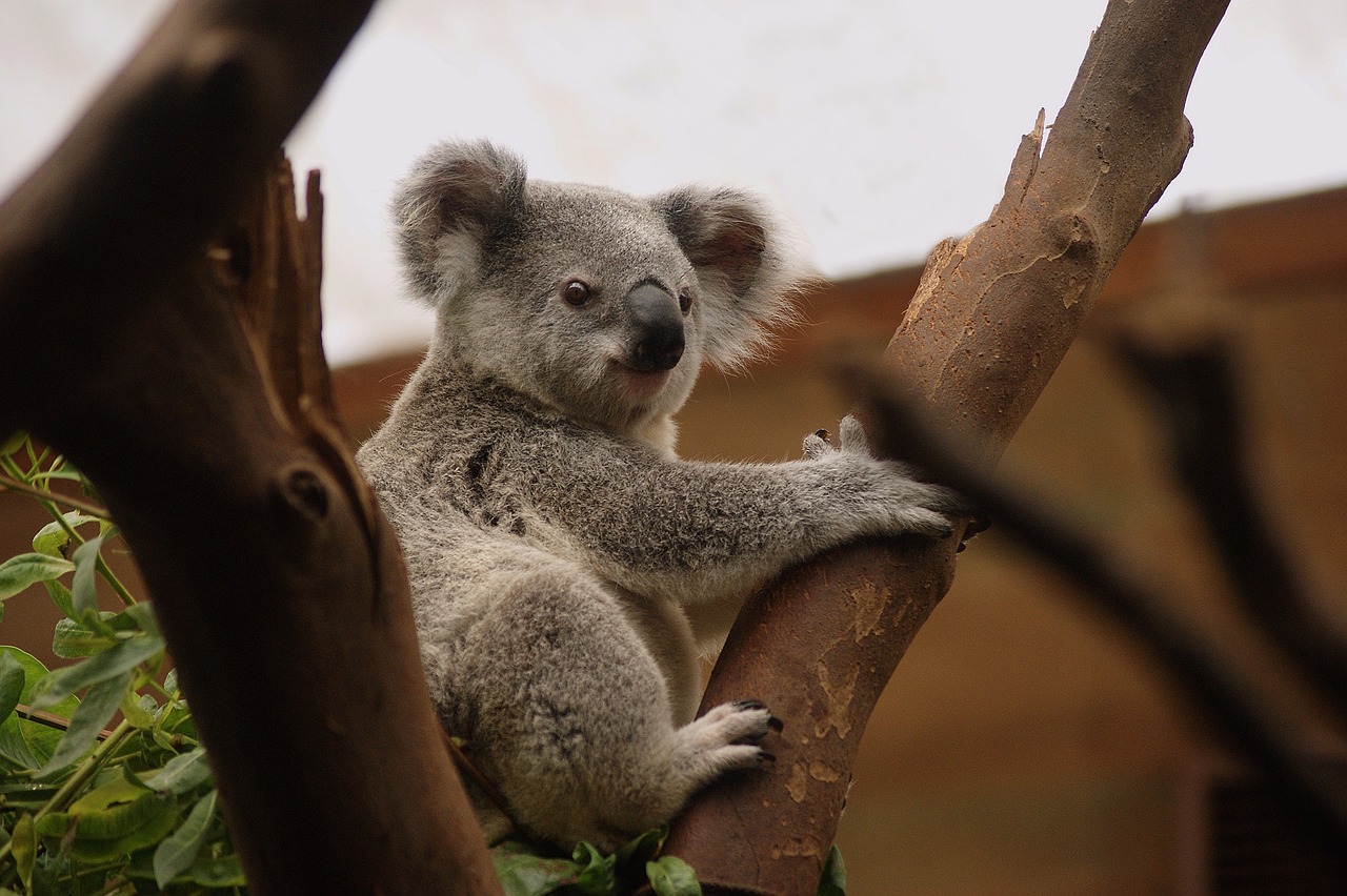 The Importance of Conservation Biology in Protecting Heritage Sites